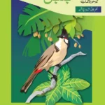 Oxford Urdu Silsila Level 1 Core Reader Bulbul