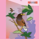 Oxford Urdu Silsila Level 2 Core Reader: Maina (Revised Edition with Teachers’