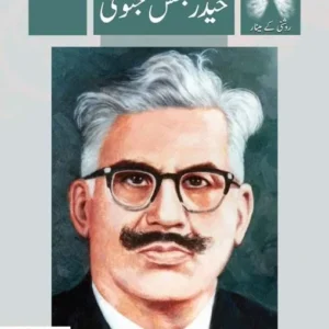 Roshni kay Meenar: Mirza Qaleech Baig