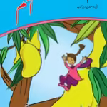 Aam Darsi