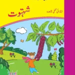 Shahtoot Amli Introductory