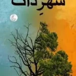Shehr e Zaat by Umera Ahmed