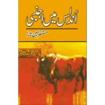 Undlas Main Ajnabi by Mustansar Hussain