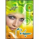 Beynaam Novel