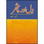 Dil Aur Pathar Urdu Novel