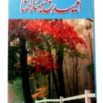 Umeed e Subah Bahar Rakhna Urdu Novel