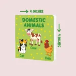 PARAMOUNT LITTLE HAND'S BOARD BOOK DOMESTIC ANIMALS